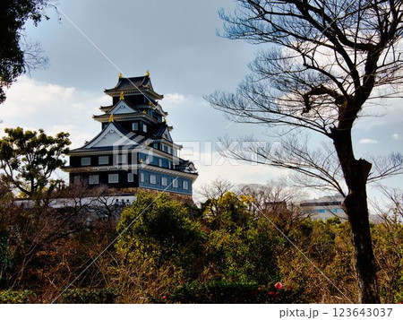 岡山城 岡山城 123643037