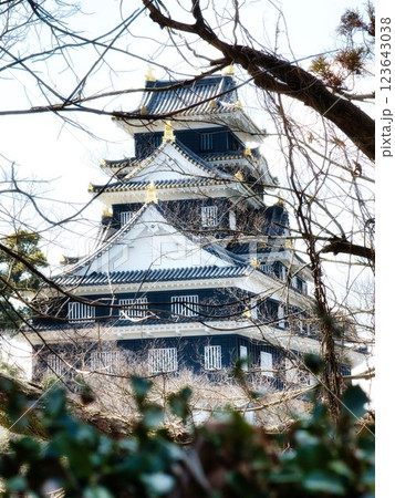 岡山城 岡山城 123643038