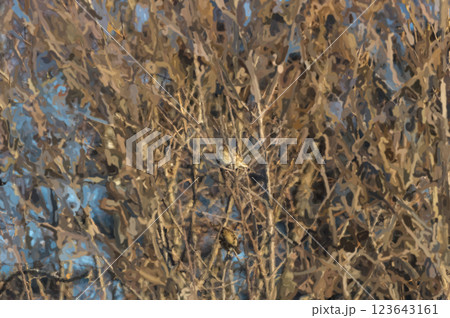 Digital art. Abstract background: a bird sits on the branches of a tree. 123643161