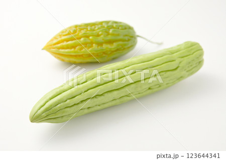 白色背景に新鮮な苦瓜の果実 白色背景に新鮮な苦瓜の果実 123644341