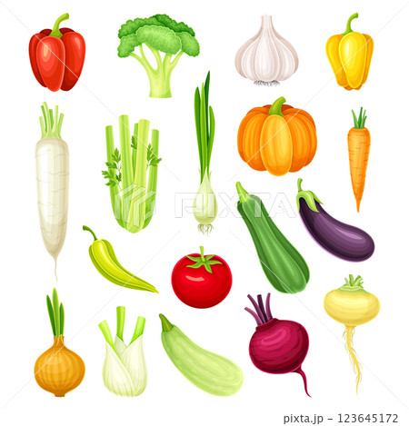 Raw Vegetables and Organic Healthy Food Vector Set Raw Vegetables and Organic Healthy Food Vector Set 123645172