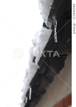 景福宮の伝統的な塀にできた氷柱 123646560