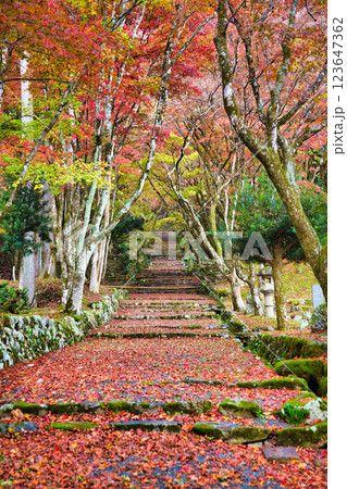 鶏足寺2023晩秋 123647362