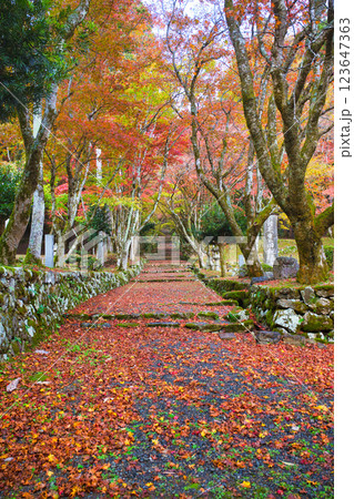 鶏足寺2023晩秋 123647363