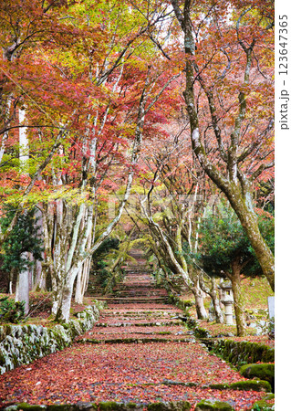 鶏足寺2023晩秋 123647365