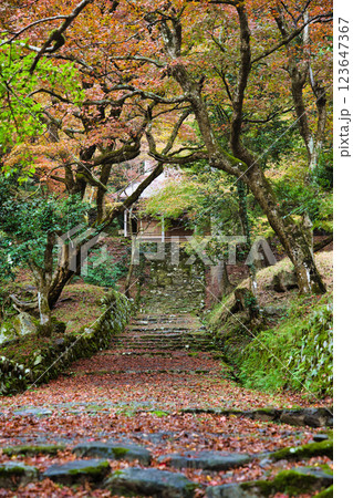 鶏足寺2023晩秋 123647367
