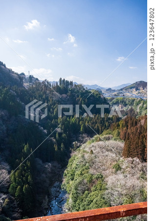 宮崎県の観光地高千穂峡天孫降臨 宮崎県の観光地高千穂峡天孫降臨 123647802