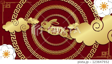 Image of chinese traditional decorations with rabbit on red background 123647932