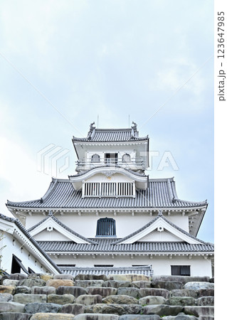 滋賀県　長浜城 123647985