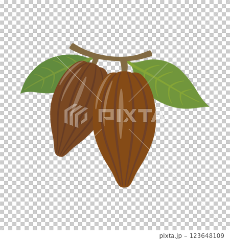 葉っぱのついたカカオ豆のイラスト 葉っぱのついたカカオ豆のイラスト 123648109