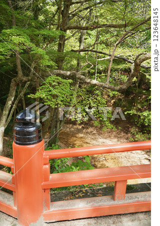 日本の厳島神社のある広島県宮島の紅葉谷公園 日本の厳島神社のある広島県宮島の紅葉谷公園 123648145