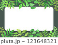 水彩風の葉っぱのフレーム 123648321