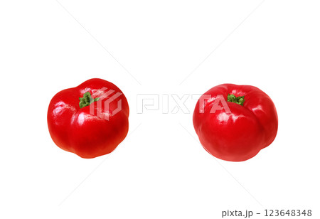 アセロラ イラスト リアル 白バック 123648348