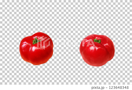 Acerola 插圖逼真的白色背景 123648348