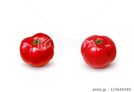 アセロラ イラスト リアル 白バック 123648349