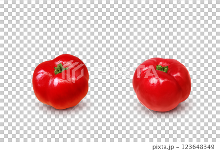 Acerola illustration realistic white background 123648349