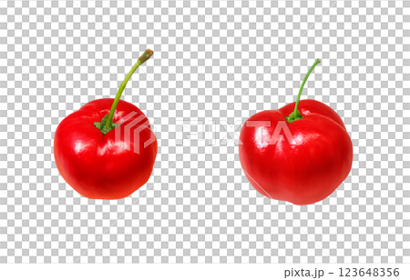 アセロラのイラスト リアル 白バック 123648356