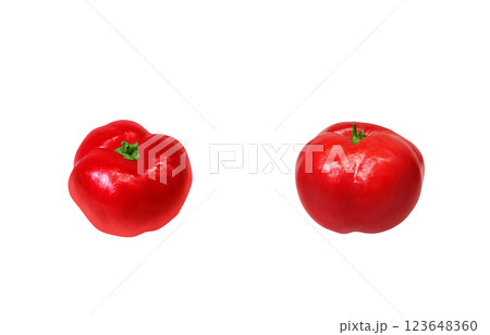 アセロラのイラスト リアル 白バック アセロラのイラスト リアル 白バック 123648360