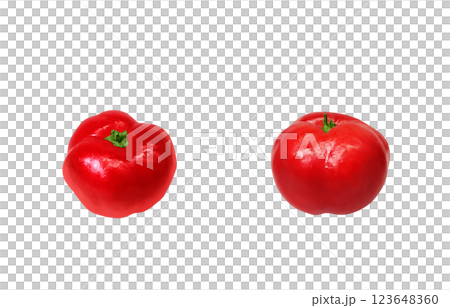 アセロラのイラスト リアル 白バック アセロラのイラスト リアル 白バック 123648360