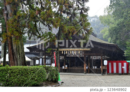 大縣神社 本殿 大縣神社 本殿 123648902