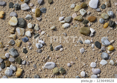 Pebbels on sandy beach 123649028