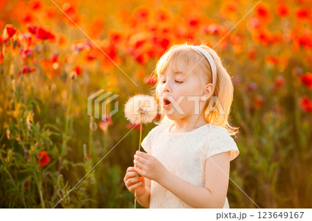 A happy blonde girl blows on a giant white dandelion against the backdrop of a poppy field at sunset A happy blonde girl blows on a giant white dandelion against the backdrop of a poppy field at sunset 123649167