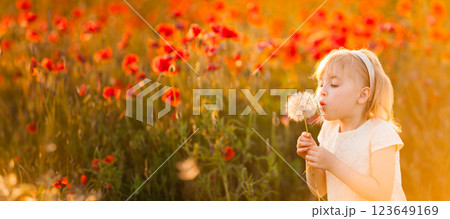 A joyful blonde girl is blowing a huge white dandelion in a poppy field during sunset 123649169