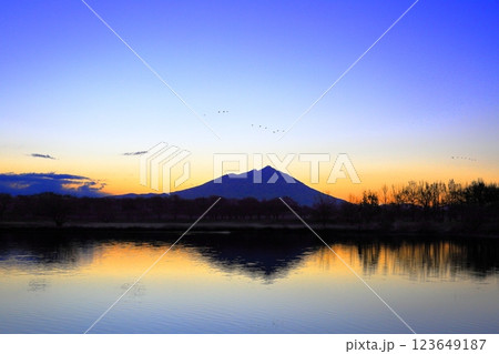 夜明け前の筑波山/茨城県筑西市母小島遊水地 夜明け前の筑波山/茨城県筑西市母小島遊水地 123649187