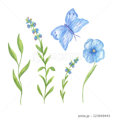 A set of different blue flowers and butterflies, floral watercolor illustration for wedding invitations, greeting cards, and print design. Spring and summer recruitment A set of different blue flowers and butterflies, floral watercolor illustration for wedding invitations, greeting cards, and print design. Spring and summer recruitment 123649443