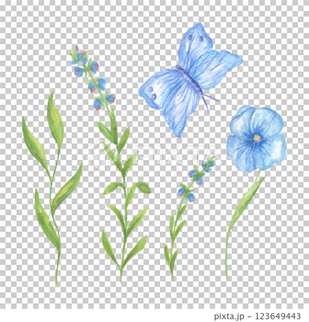 A set of different blue flowers and butterflies, floral watercolor illustration for wedding invitations, greeting cards, and print design. Spring and summer recruitment A set of different blue flowers and butterflies, floral watercolor illustration for wedding invitations, greeting cards, and print design. Spring and summer recruitment 123649443