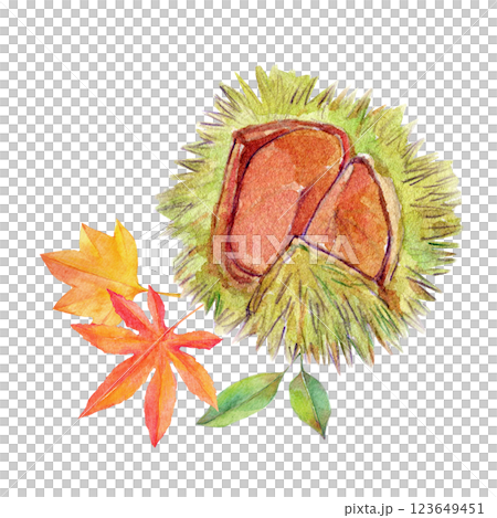 水彩イラスト　秋の実りと紅葉 123649451