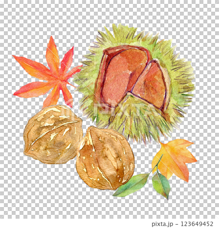 Watercolor illustration: Autumn fruits and leaves 123649452