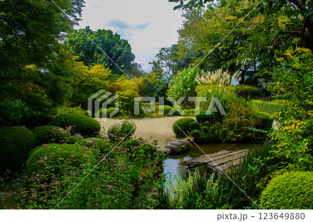 【京都風景】詩仙堂　10月の花（酔芙蓉、紫苑、キキョウ等） 123649880