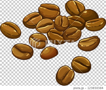 Coffee Seeds Colored Detailed Illustration. 123650384