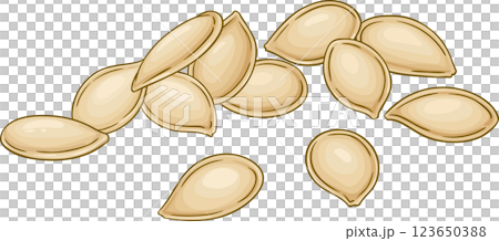 Pumpkin Fruit  Colored Detailed Illustration 123650388