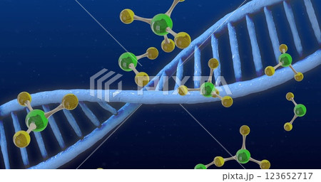 Image of dna strand spinning and molecules on blue background Image of dna strand spinning and molecules on blue background 123652717