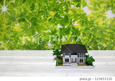 家 住宅ローン 不動産イメージ ミニチュア 模型 家 住宅ローン 不動産イメージ ミニチュア 模型 123653120