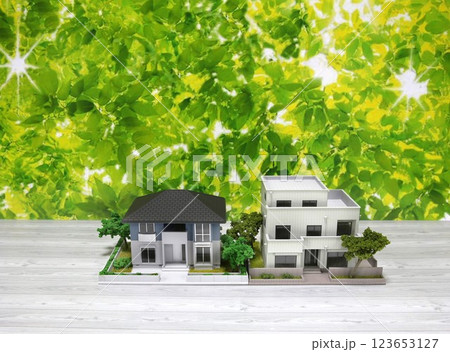 家 住宅ローン 不動産イメージ ミニチュア 模型 家 住宅ローン 不動産イメージ ミニチュア 模型 123653127