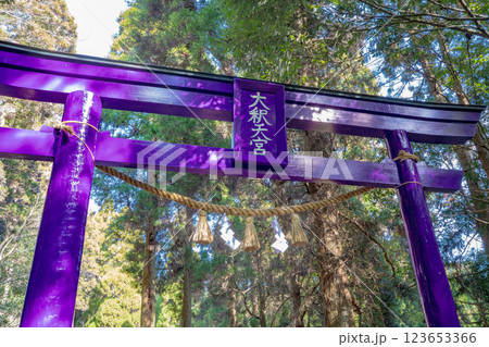大釈天宮の紫色の鳥居(霧島市) 大釈天宮の紫色の鳥居(霧島市) 123653366
