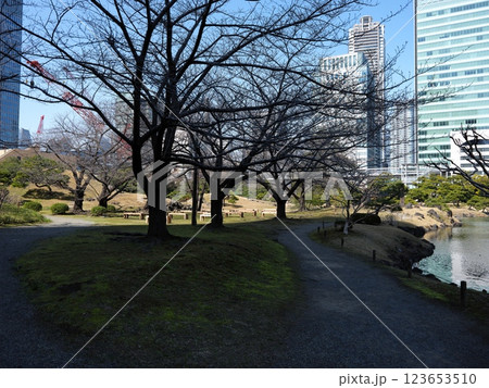 芝離宮公園散策 芝離宮公園散策 123653510
