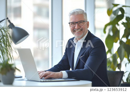 Professional businessman in modern office with a laptop and natural light, AI Generative Professional businessman in modern office with a laptop and natural light, AI Generative 123653912