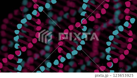 Image of moving blue and red dna strands on black background Image of moving blue and red dna strands on black background 123653925