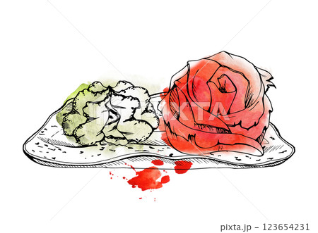 Japanese food toppings for sushi sashimi, wasabi and ginger rose on ceramic plate, chopsticks on rest, hand drawn in watercolor, ink. Illustration for restaurant, cafe menu, kitchen print, recipe book Japanese food toppings for sushi sashimi, wasabi and ginger rose on ceramic plate, chopsticks on rest, hand drawn in watercolor, ink. Illustration for restaurant, cafe menu, kitchen print, recipe book 123654231