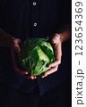 Chef is Holding Small White Cabbage 123654369