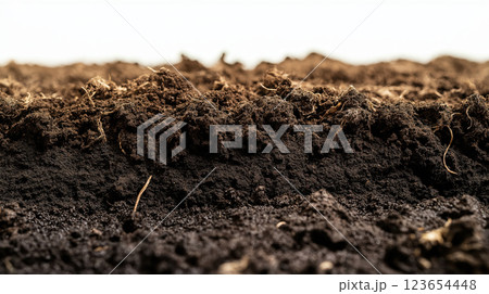 Close up of fertile soil layers showcasing rich earth textures, AI Generative 123654448