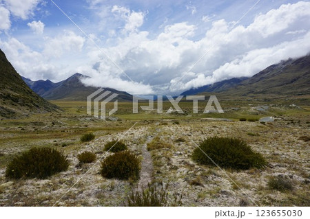 ニュージーランド、テアラロアの自然 123655030