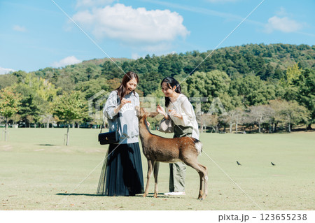 奈良公園で鹿せんべいを鹿にあげる女性(友達) 奈良公園で鹿せんべいを鹿にあげる女性(友達) 123655238
