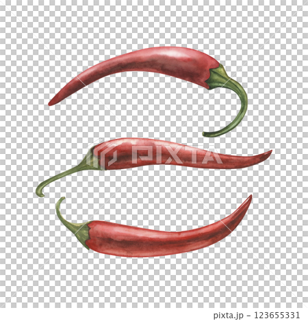 Trays of red chili peppers isolated on white background. Botanical watercolor illustration of spicy vegetables with green stems drawn by hand. For packaging design, restaurant menus, kitchen decor. 123655331