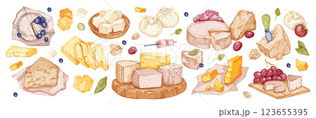 Cheese watercolor illustration, vector dairy product collection Italian parmesan mozzarella clipart. 123655395