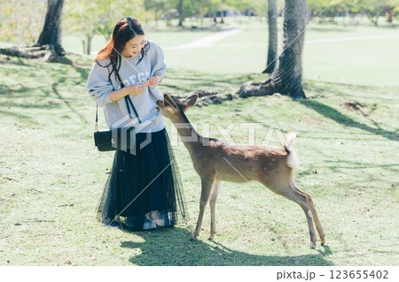 奈良公園で鹿せんべいを鹿にあげる女性 123655402